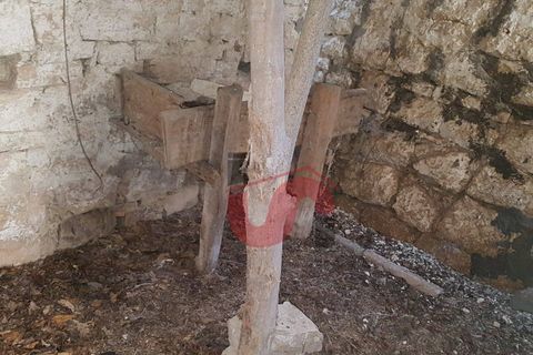 Landejendom i Riccia, Campobasso, Riccia - € 145.000 | Ref: AA27254 - foto 42
