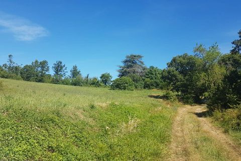 Landejendom i Riccia, Campobasso, Riccia - € 145.000 | Ref: AA27254 - foto 43