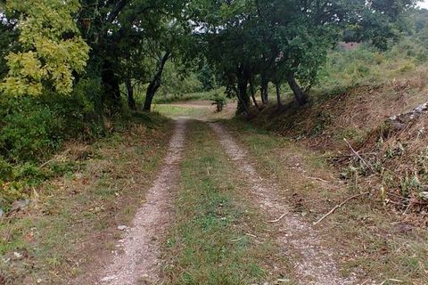 Landejendom i Riccia, Campobasso, Riccia - € 145.000 | Ref: AA27254 - foto 44