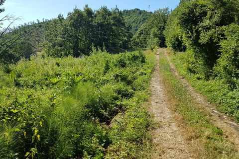 Landejendom i Riccia, Campobasso, Riccia - € 145.000 | Ref: AA27254 - foto 46