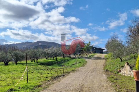 Helårsgrund i Benevento, Benevento, Benevento - € 50.000 | Ref: AA28650 - foto 3