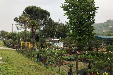 Helårsgrund i Benevento, Benevento, Benevento - € 340.000 | Ref: AA30092 - foto 4