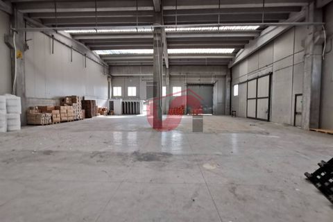 Erhvervsejendom i Benevento, Benevento, Benevento - € 379.000 | Ref: AA30172 - foto 17