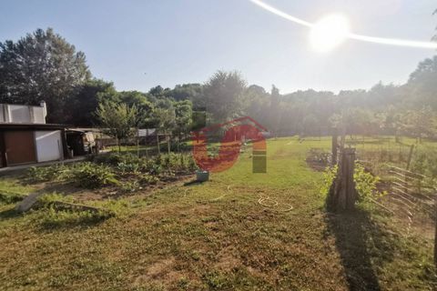 Erhvervsejendom i Benevento, Benevento, Benevento - € 335.000 | Ref: AA33400 - foto 4