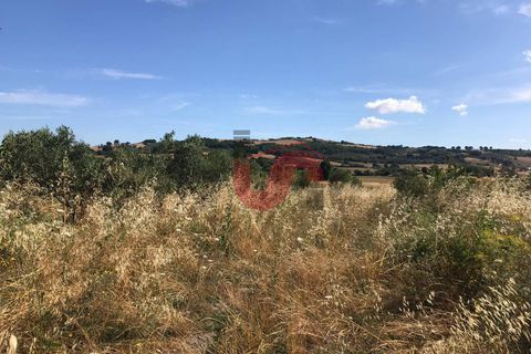 Villa i Pietrelcina, Benevento, Pietrelcina - € 75.000 | Ref: AA33987 - foto 8