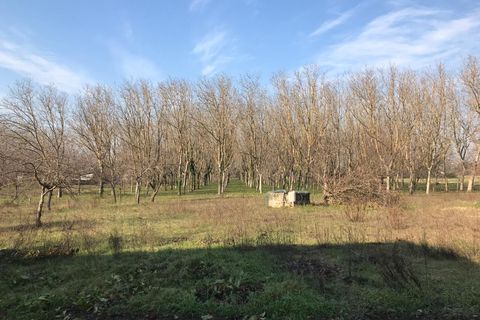 Helårsgrund i Benevento, Benevento, Benevento - € 120.000 | Ref: AA35725 - foto 8