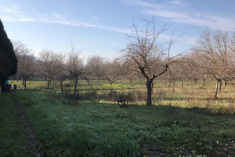 Helårsgrund i Benevento, Benevento, Benevento - € 120.000 | Ref: AA35725 - foto 10
