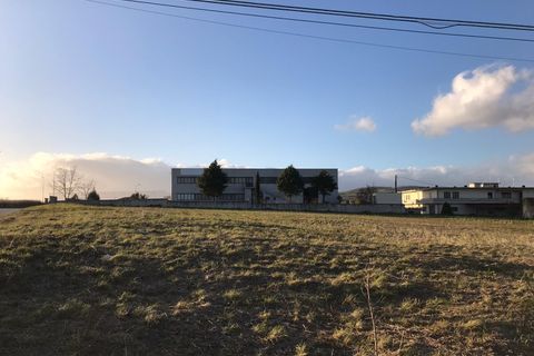 Helårsgrund i Pietrelcina, Benevento, Pietrelcina - € 145.000 | Ref: AA35975 - foto 5