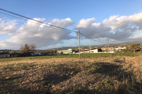 Helårsgrund i Pietrelcina, Benevento, Pietrelcina - € 145.000 | Ref: AA35975 - foto 7