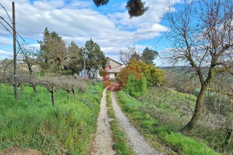 Villa a Foglianise, Benevento, Foglianise - € 47.000 | Ref: AA36594 - foto 3