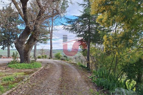 Villa a Foglianise, Benevento, Foglianise - € 47.000 | Ref: AA36594 - foto 5