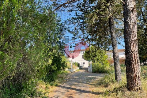 Villa a Benevento, Benevento, Benevento - € 160.000 | Ref: AA37535 - foto 2