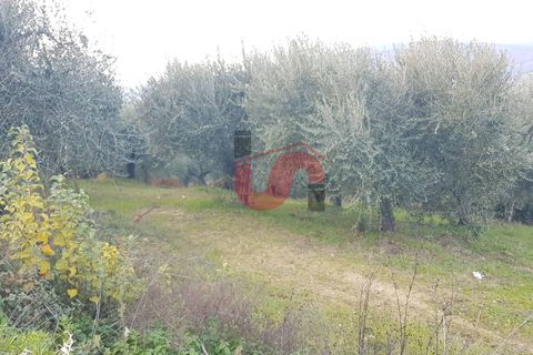 Helårsgrund i Benevento, Benevento, Benevento - € 22.000 | Ref: AA37585 - foto 1