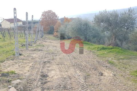 Helårsgrund i Benevento, Benevento, Benevento - € 22.000 | Ref: AA37585 - foto 3
