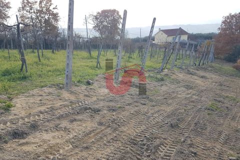 Helårsgrund i Benevento, Benevento, Benevento - € 22.000 | Ref: AA37585 - foto 5