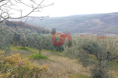 Helårsgrund i Benevento, Benevento, Benevento - € 22.000 | Ref: AA37585 - foto 6