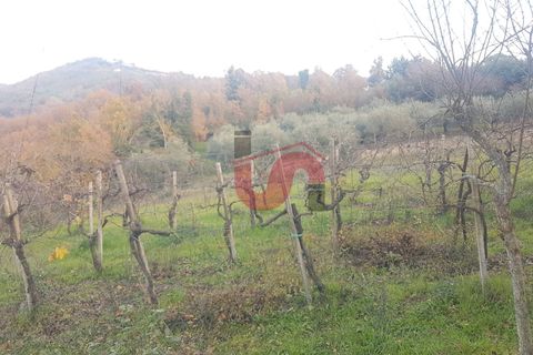 Helårsgrund i Benevento, Benevento, Benevento - € 22.000 | Ref: AA37585 - foto 7