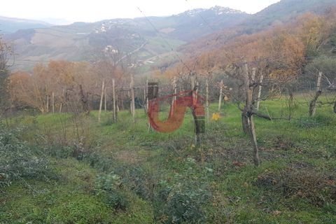 Helårsgrund i Benevento, Benevento, Benevento - € 22.000 | Ref: AA37585 - foto 11