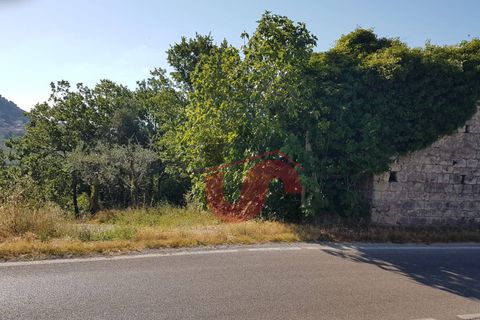 Herregård i Vitulano, Benevento, Vitulano - € 28 000 | Ref: AA39034 - foto 11