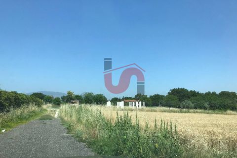 Landejendom i Benevento, Benevento, Benevento - € 79.000 | Ref: AA39036 - foto 5