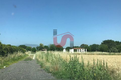 Landejendom i Benevento, Benevento, Benevento - € 79.000 | Ref: AA39036 - foto 16