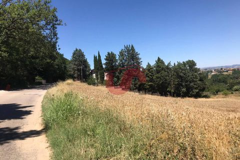 Helårsgrund i Sant'Angelo a Cupolo, Benevento, Sant'Angelo a Cupolo - € 100.000 | Ref: AA39041 - foto 6