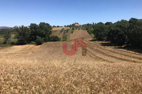 Helårsgrund i Sant'Angelo a Cupolo, Benevento, Sant'Angelo a Cupolo - € 100.000 | Ref: AA39041 - foto 8