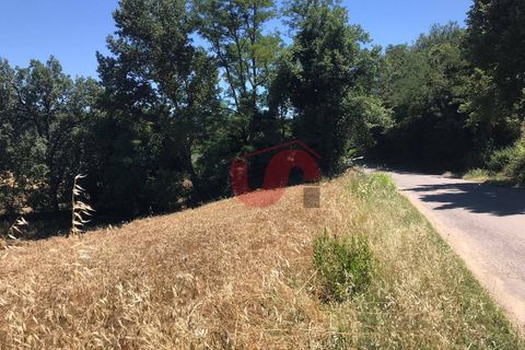 Helårsgrund i Sant'Angelo a Cupolo, Benevento, Sant'Angelo a Cupolo - € 100.000 | Ref: AA39041 - foto 10