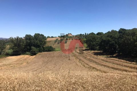 Helårsgrund i Sant'Angelo a Cupolo, Benevento, Sant'Angelo a Cupolo - € 100.000 | Ref: AA39041 - foto 11