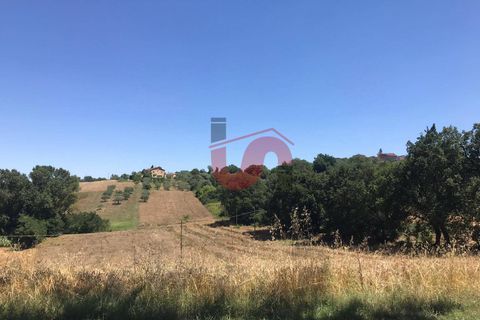 Helårsgrund i Sant'Angelo a Cupolo, Benevento, Sant'Angelo a Cupolo - € 100.000 | Ref: AA39041 - foto 14