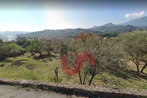 Tomt i Cautano, Benevento, Cautano - € 29 500 | Ref: AA39090 - foto 2