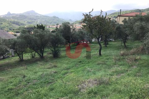 Tomt i Cautano, Benevento, Cautano - € 29 500 | Ref: AA39090 - foto 3