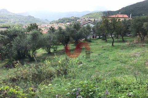 Tomt i Cautano, Benevento, Cautano - € 29 500 | Ref: AA39090 - foto 4