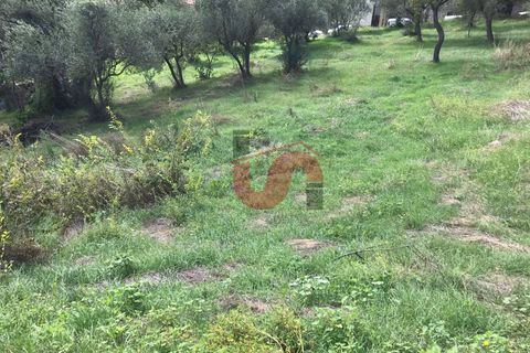 Tomt i Cautano, Benevento, Cautano - € 29 500 | Ref: AA39090 - foto 5
