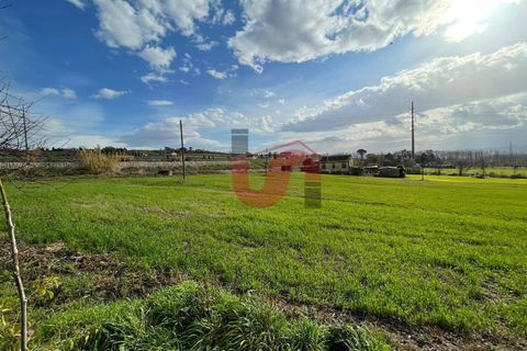 Terra a Benevento, Benevento, Benevento - € 98.000 | Ref: AA39256 - foto 2