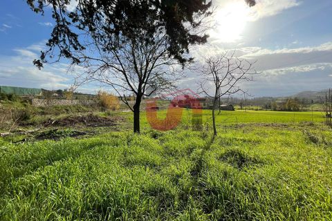 Terra a Benevento, Benevento, Benevento - € 98.000 | Ref: AA39256 - foto 4