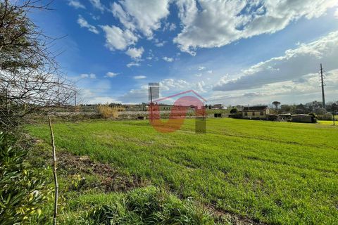 Terra a Benevento, Benevento, Benevento - € 98.000 | Ref: AA39256 - foto 8