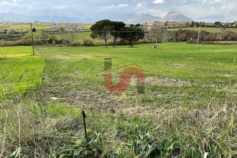 Terra a Benevento, Benevento, Benevento - € 98.000 | Ref: AA39256 - foto 10