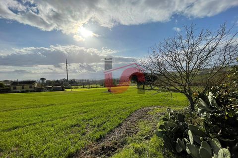 Terra a Benevento, Benevento, Benevento - € 98.000 | Ref: AA39256 - foto 11