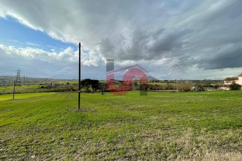 Terra a Benevento, Benevento, Benevento - € 98.000 | Ref: AA39256 - foto 13