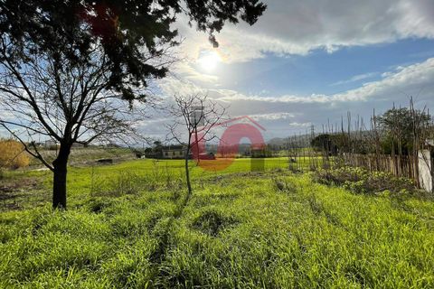 Terra a Benevento, Benevento, Benevento - € 98.000 | Ref: AA39256 - foto 15