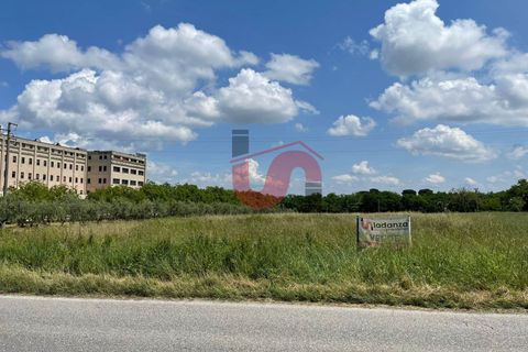 Helårsgrund i Benevento, Benevento, Benevento - € 280.000 | Ref: AA39313 - foto 4