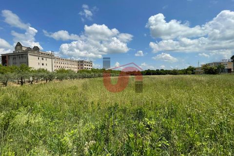 Helårsgrund i Benevento, Benevento, Benevento - € 330.000 | Ref: AA39319 - foto 16