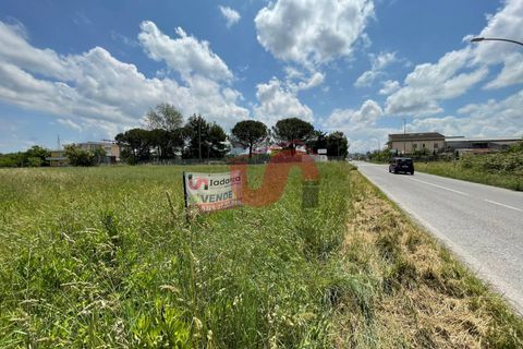 Helårsgrund i Benevento, Benevento, Benevento - € 330.000 | Ref: AA39319 - foto 18