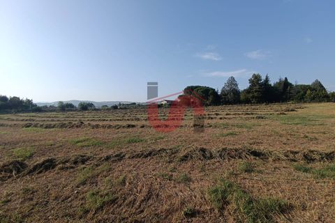 Helårsgrund i Benevento, Benevento, Benevento - € 200.000 | Ref: AA39320 - foto 6