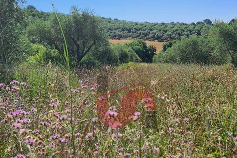 Helårsgrund i Benevento, Benevento, Benevento - € 25.000 | Ref: AA39389 - foto 1