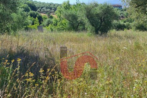 Helårsgrund i Benevento, Benevento, Benevento - € 25.000 | Ref: AA39389 - foto 3