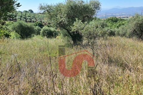 Helårsgrund i Benevento, Benevento, Benevento - € 25.000 | Ref: AA39389 - foto 4
