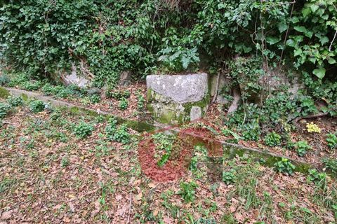 Villa em Cautano, Benevento, Cautano - € 199.000 | Ref: AA39410 - foto 35