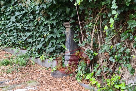 Villa em Cautano, Benevento, Cautano - € 199.000 | Ref: AA39410 - foto 40